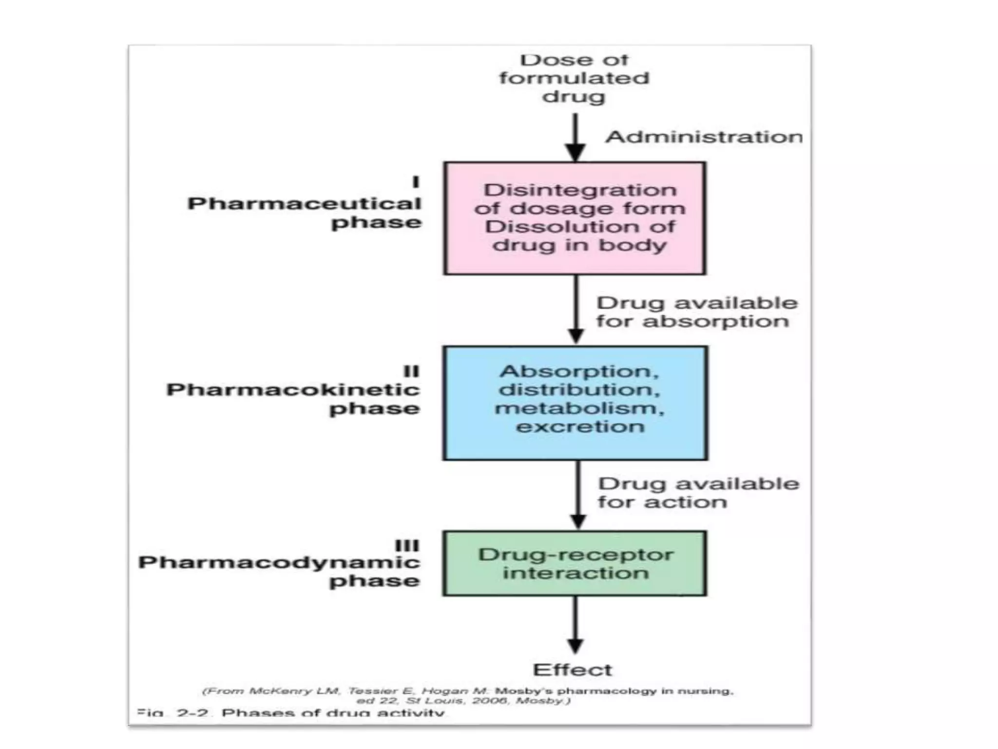 Introduction to pharmacology in nursing | PPTX