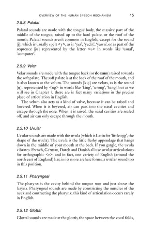 OVERVIEW OF THE HUMAN SPEECH MECHANISM                        15

2.5.8 Palatal
Palatal sounds are made with the tongue body, the massive part of the
middle of the tongue, raised up to the hard palate, or the roof of the
mouth. Palatal sounds aren’t common in English, except for the sound
[j], which is usually spelt <y>, as in ‘yes’, ‘yacht’, ‘yawn’; or as part of the
sequence [ju] represented by the letter <u> in words like ‘usual’,
‘computer’.

2.5.9 Velar
Velar sounds are made with the tongue back (or dorsum) raised towards
the soft palate. The soft palate is at the back of the roof of the mouth, and
is also known as the velum. The sounds [k ] are velars, as is the sound
[ŋ], represented by <ng> in words like ‘king’, ‘wrong’, ‘hang’; but as we
will see in Chapter 7, there are in fact many variations in the precise
place of articulation in English.
   The velum also acts as a kind of valve, because it can be raised and
lowered. When it is lowered, air can pass into the nasal cavities and
escape through the nose. When it is raised, the nasal cavities are sealed
off, and air can only escape through the mouth.

2.5.10 Uvular
Uvular sounds are made with the uvula (which is Latin for ‘little egg’, the
shape of the uvula). The uvula is the little ﬂeshy appendage that hangs
down in the middle of your mouth at the back. If you gargle, the uvula
vibrates. French, German, Dutch and Danish all use uvular articulations
for orthographic <r>; and in fact, one variety of English (around the
north east of England) has, in its more archaic forms, a uvular sound too
in this position.

2.5.11 Pharyngeal
The pharynx is the cavity behind the tongue root and just above the
larynx. Pharyngeal sounds are made by constricting the muscles of the
neck and contracting the pharynx; this kind of articulation occurs rarely
in English.


2.5.12 Glottal
Glottal sounds are made at the glottis, the space between the vocal folds,
 