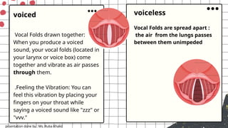 Introduction to Phonetics- Ruba Khaild's Notes.pptx