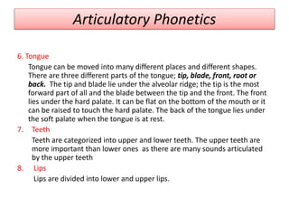 Articulatory Phonetics
6. Tongue
Tongue can be moved into many different places and different shapes.
There are three different parts of the tongue; tip, blade, front, root or
back. The tip and blade lie under the alveolar ridge; the tip is the most
forward part of all and the blade between the tip and the front. The front
lies under the hard palate. It can be flat on the bottom of the mouth or it
can be raised to touch the hard palate. The back of the tongue lies under
the soft palate when the tongue is at rest.
7. Teeth
Teeth are categorized into upper and lower teeth. The upper teeth are
more important than lower ones as there are many sounds articulated
by the upper teeth
8. Lips
Lips are divided into lower and upper lips.
 