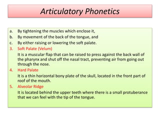 Articulatory Phonetics
a. By tightening the muscles which enclose it,
b. By movement of the back of the tongue, and
c. By either raising or lowering the soft palate.
3. Soft Palate (Velum)
It is a muscular flap that can be raised to press against the back wall of
the pharynx and shut off the nasal tract, preventing air from going out
through the nose.
4. Hard Palate
It is a thin horizontal bony plate of the skull, located in the front part of
roof of the mouth.
5. Alveolar Ridge
It is located behind the upper teeth where there is a small protuberance
that we can feel with the tip of the tongue.
 