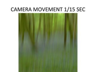 CAMERA MOVEMENT 1/15 SEC
 
