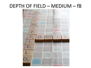 DEPTH OF FIELD – MEDIUM – f8
 