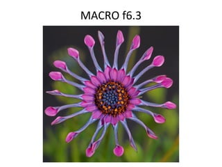 MACRO f6.3
 