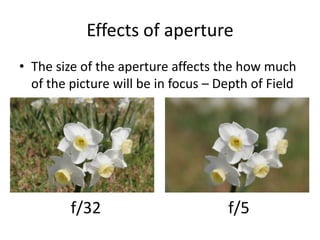 Effects of apertureThe size of the aperture affects the how much of the picture will be in focus – Depth of Fieldf/32f/5