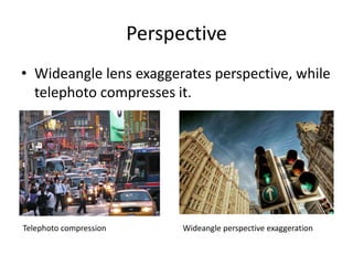 Leading linesUse lines and vanishing point to guide the viewer