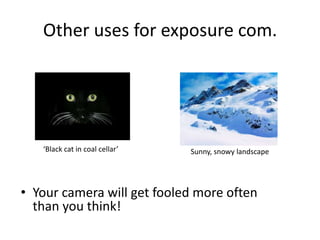 Other uses for exposure com.‘Black cat in coal cellar’Sunny, snowy landscapeYour camera will get fooled more often than you think!