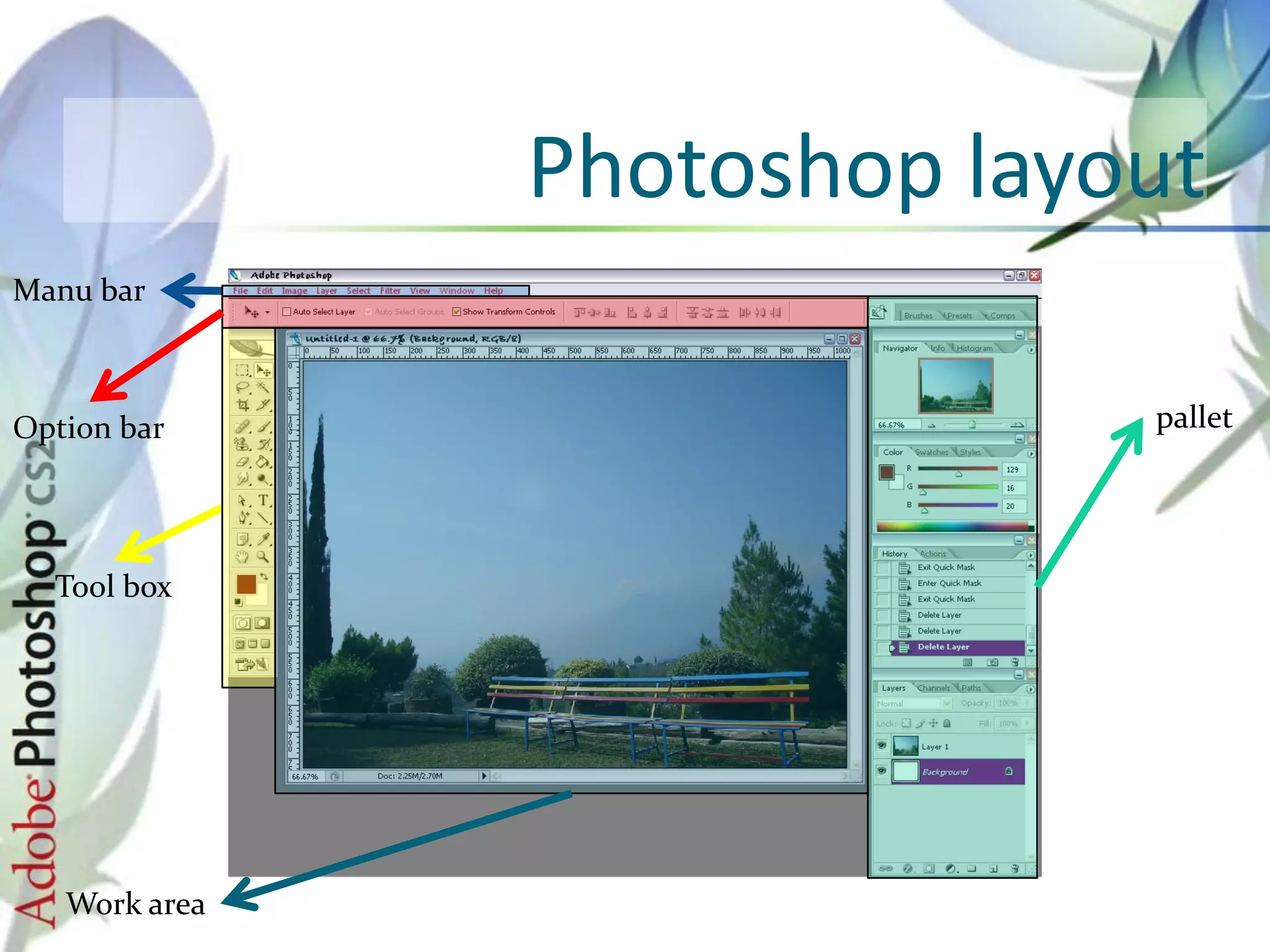 Photoshop layout
Manu bar
Option bar pallet
Tool box
Work area