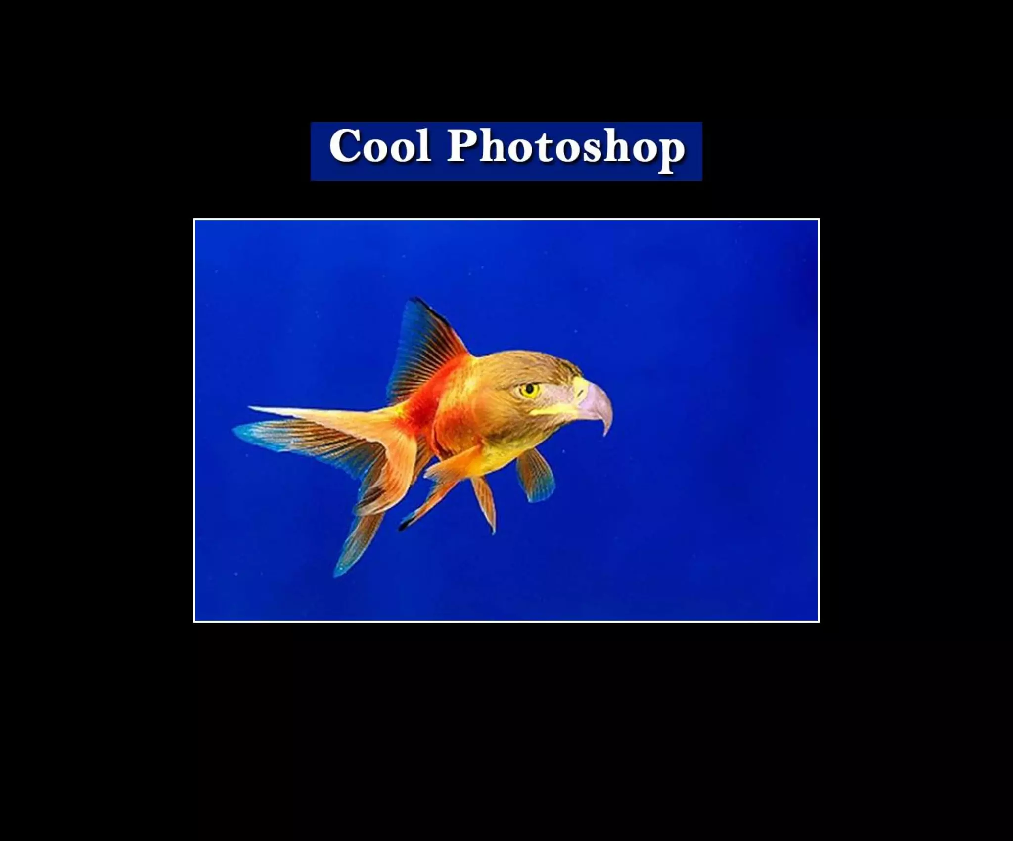 Introduction To Photoshop