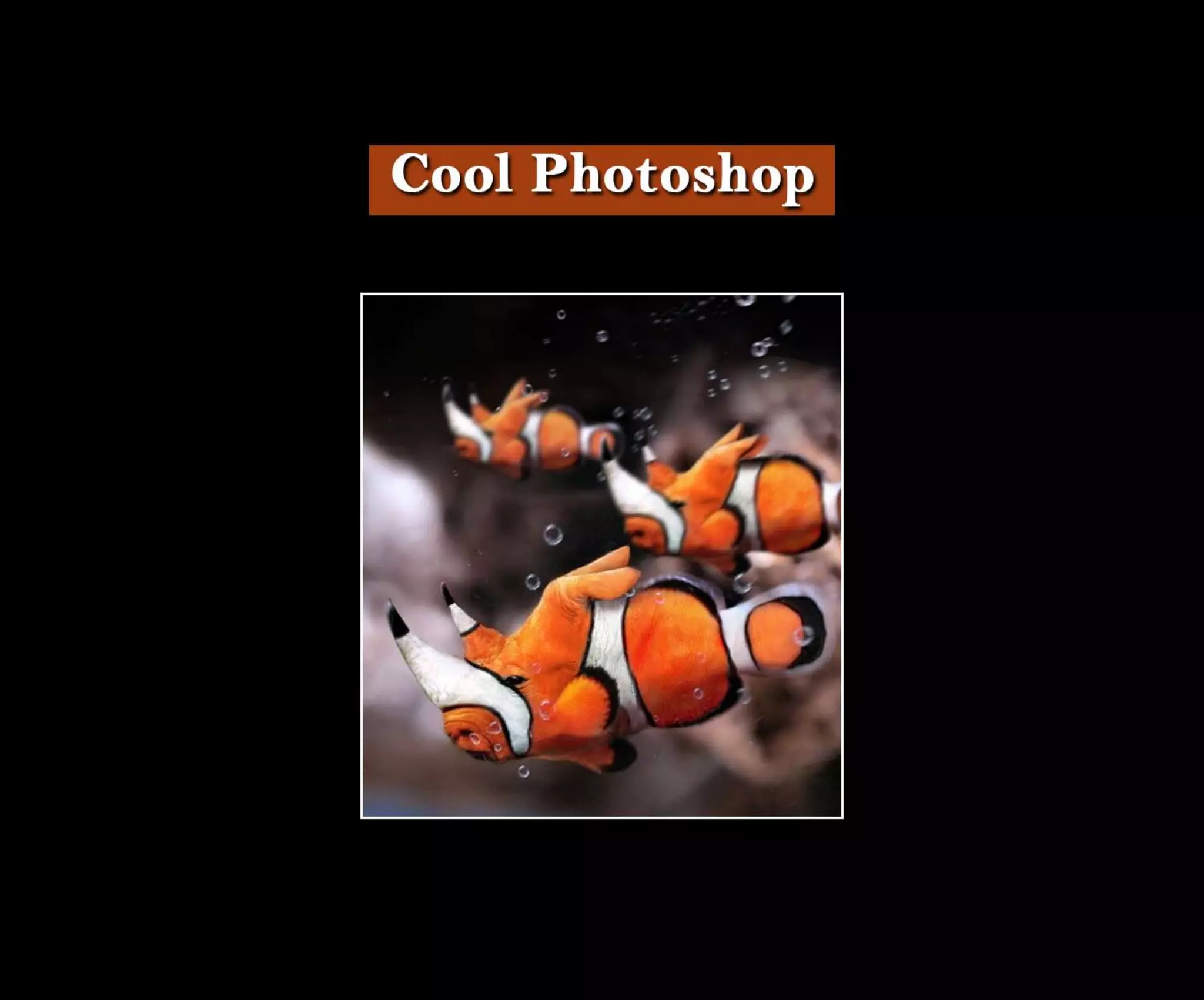 Introduction To Photoshop