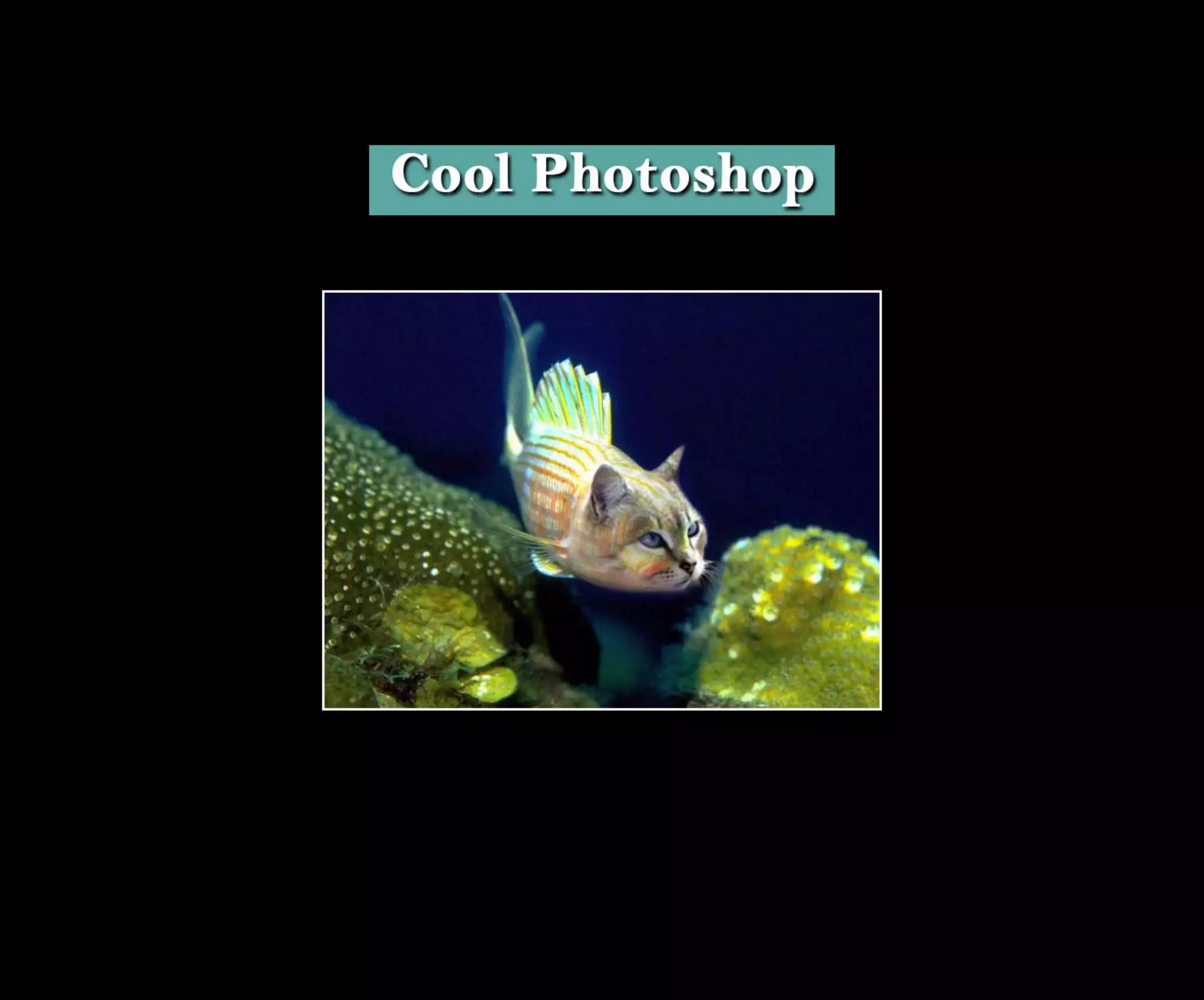 Introduction To Photoshop