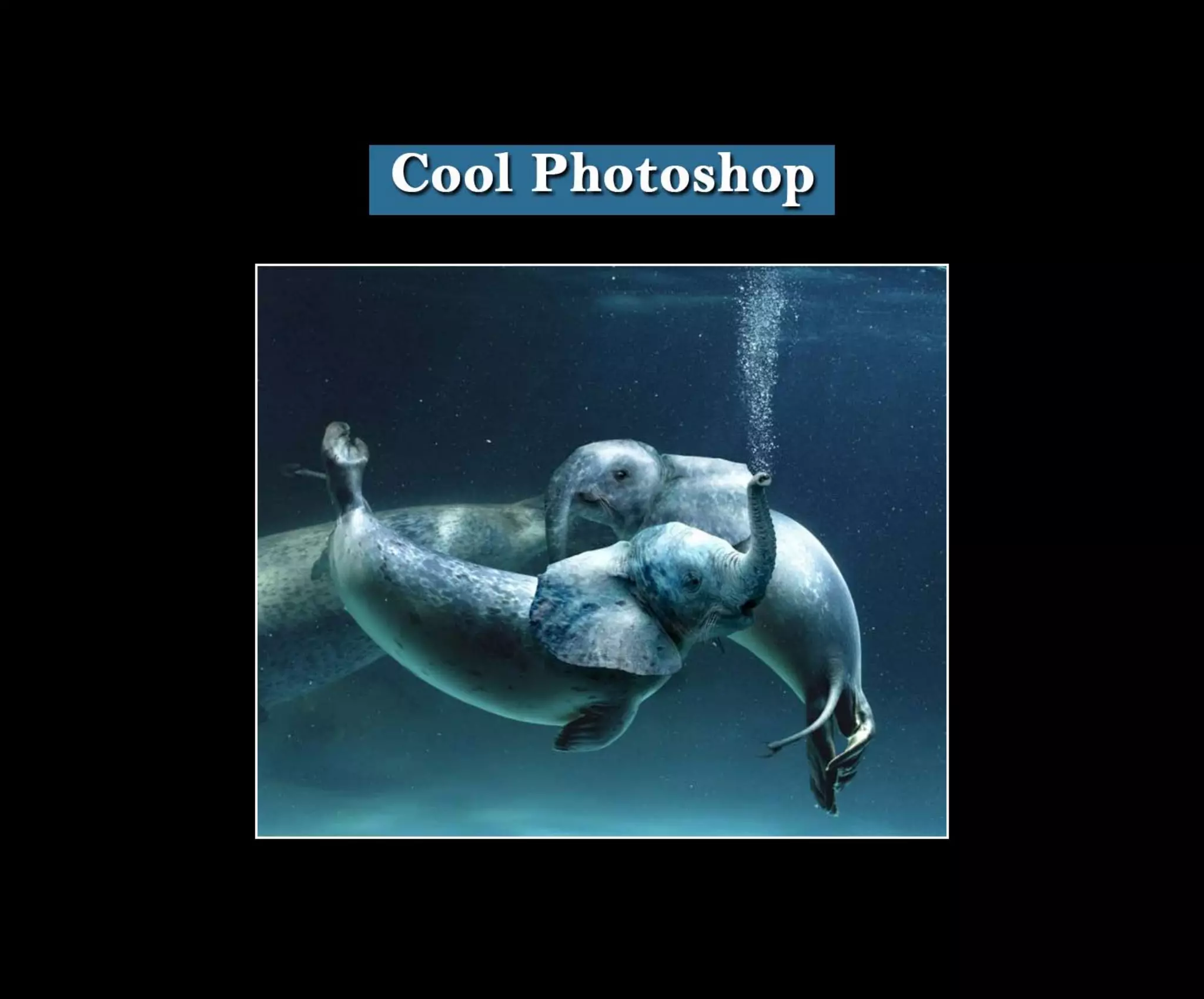 Introduction To Photoshop