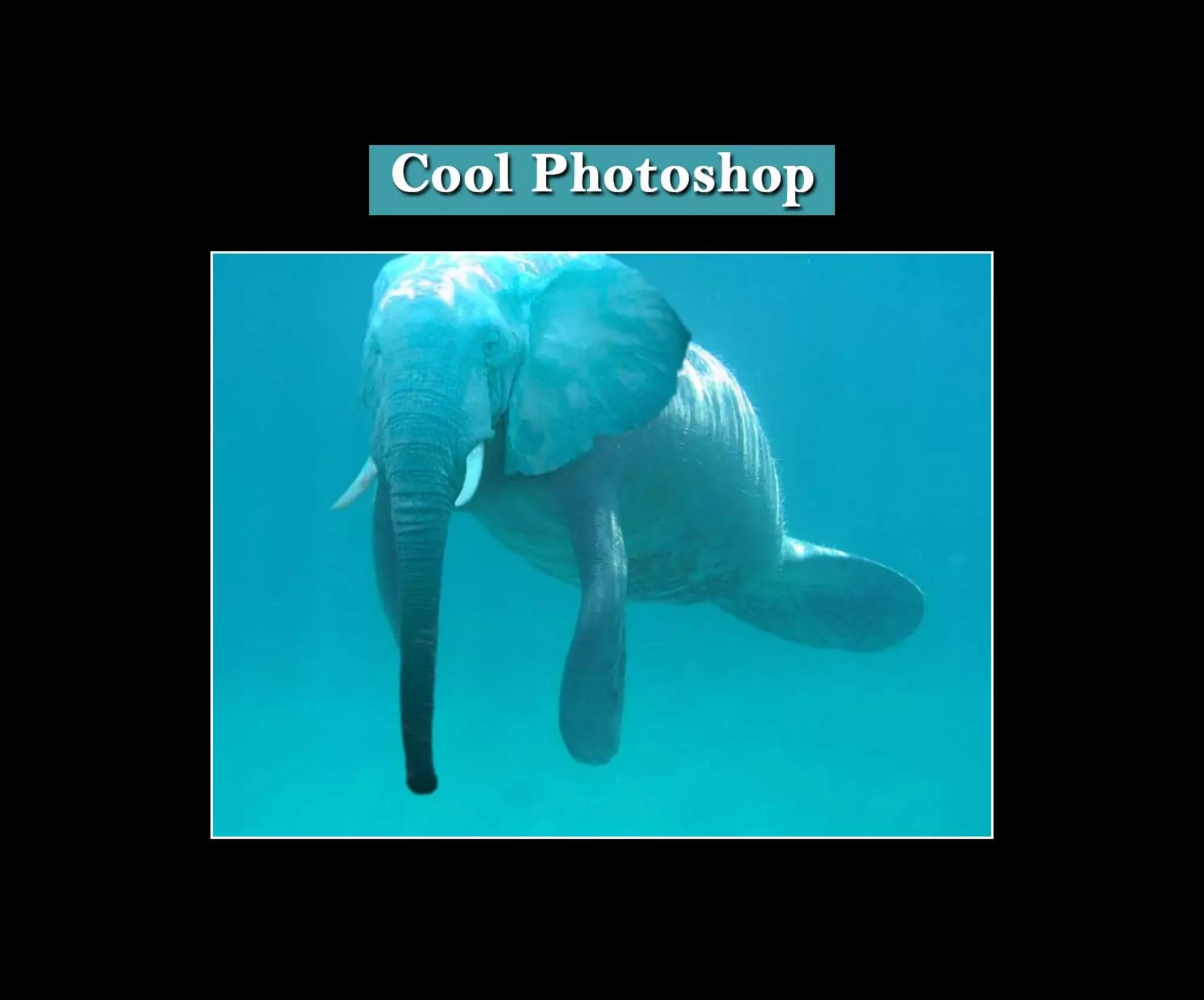 Introduction To Photoshop