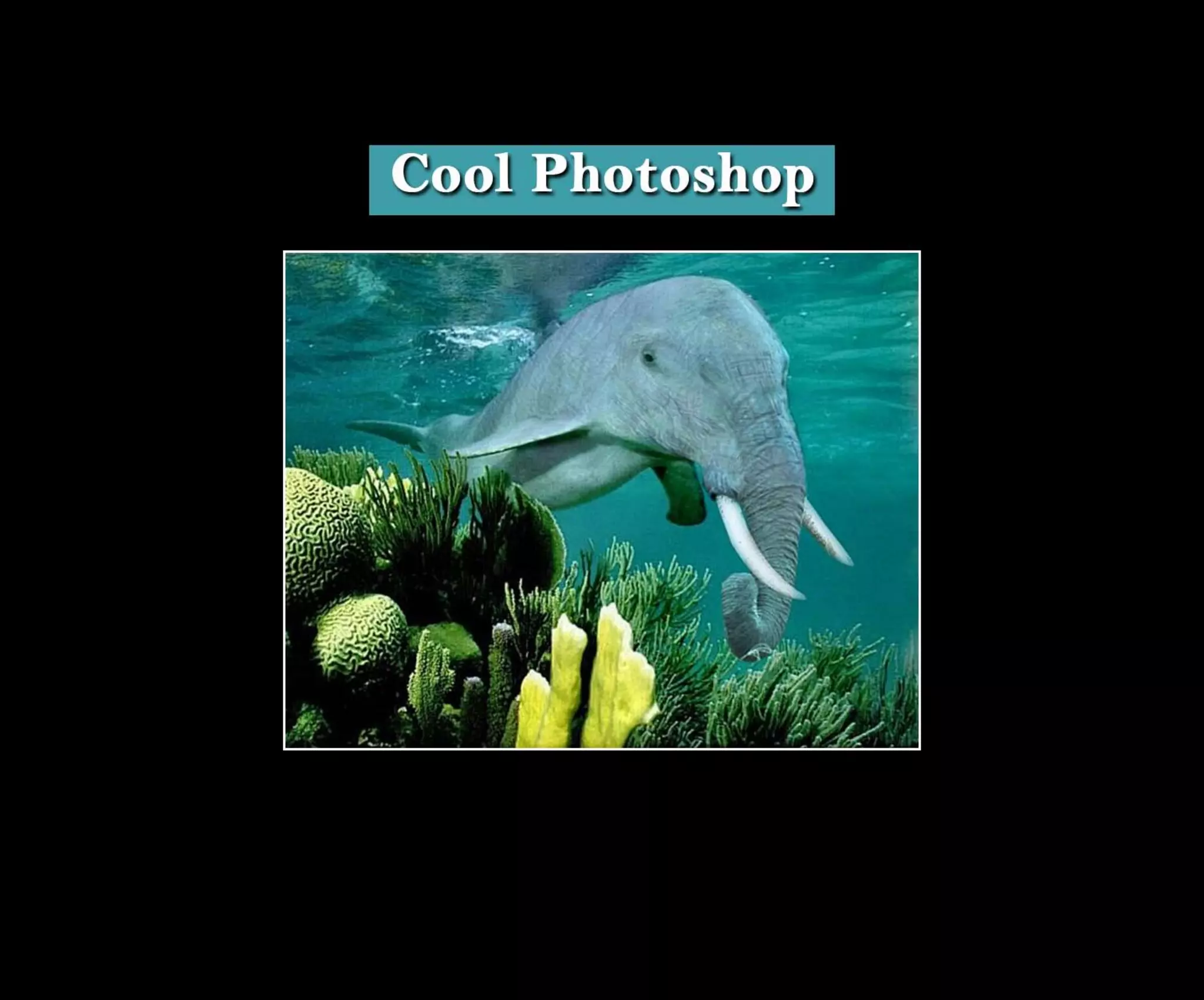 Introduction To Photoshop