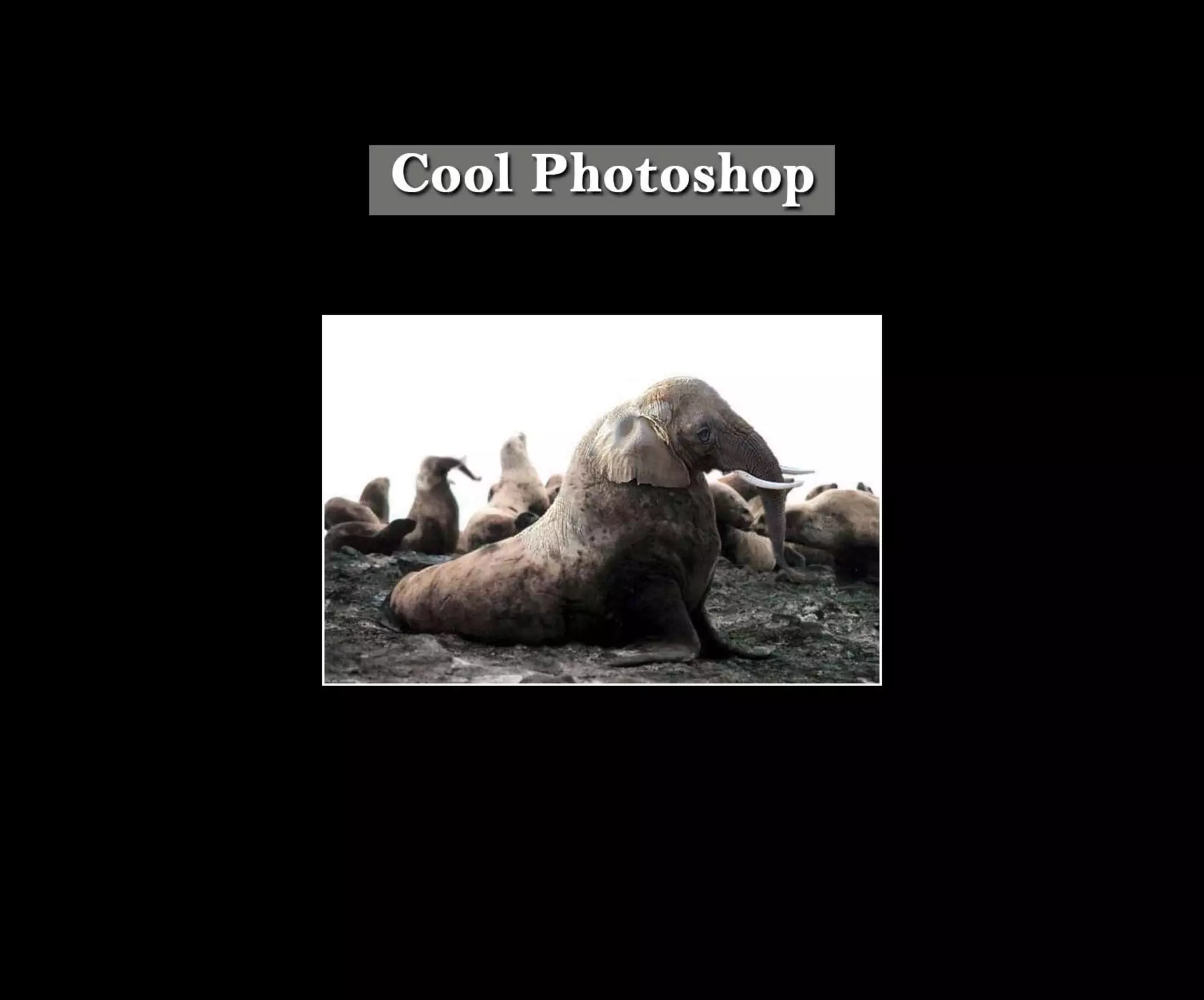 Introduction To Photoshop