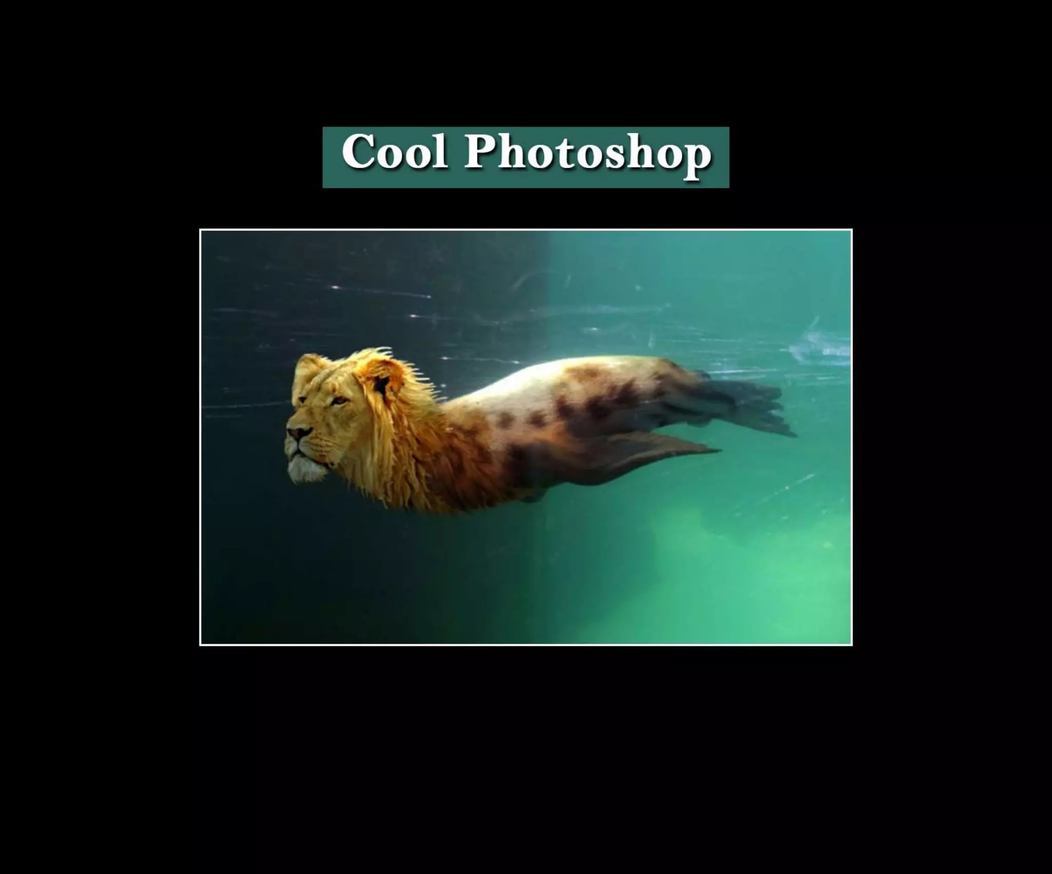 Introduction To Photoshop