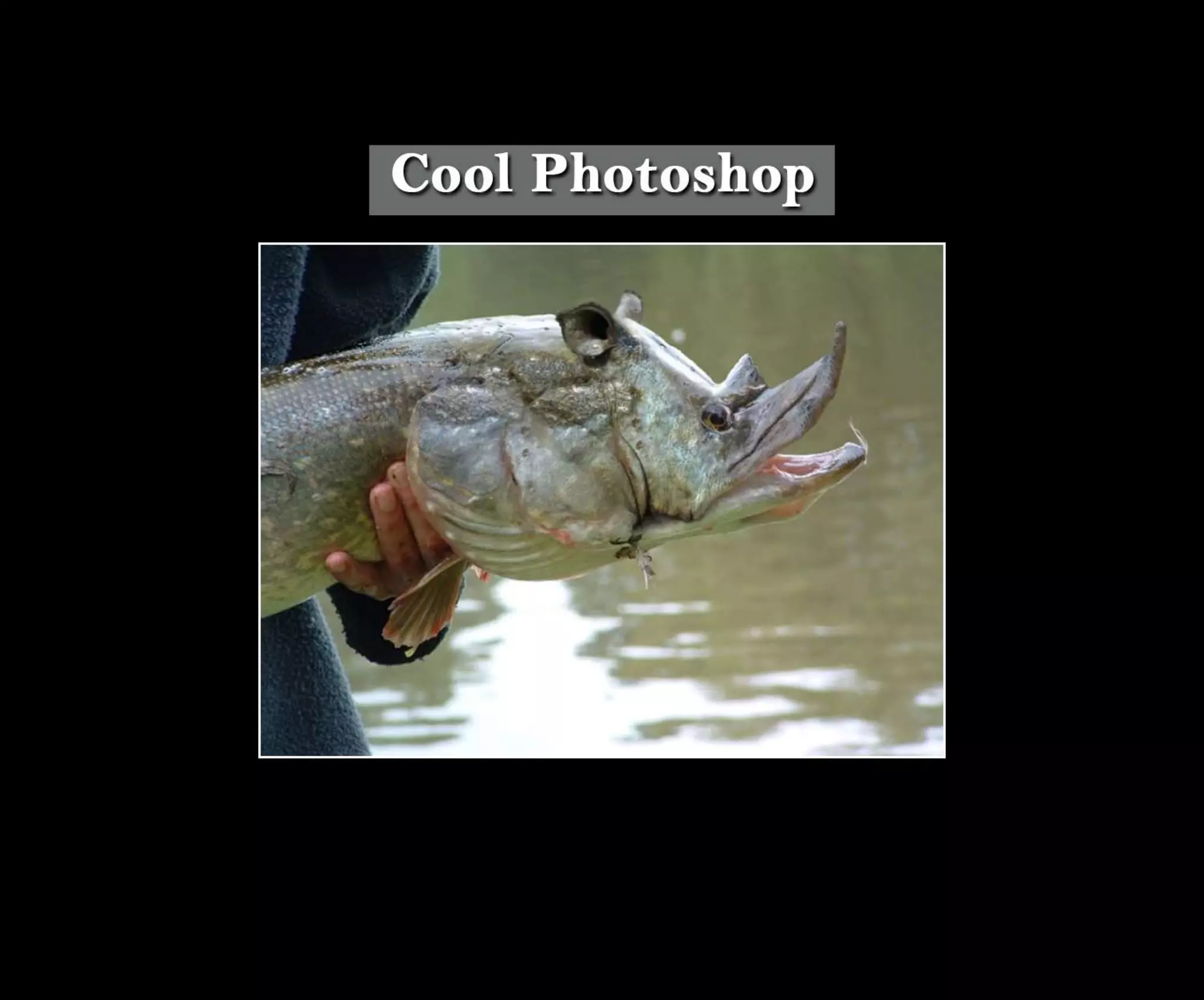 Introduction To Photoshop