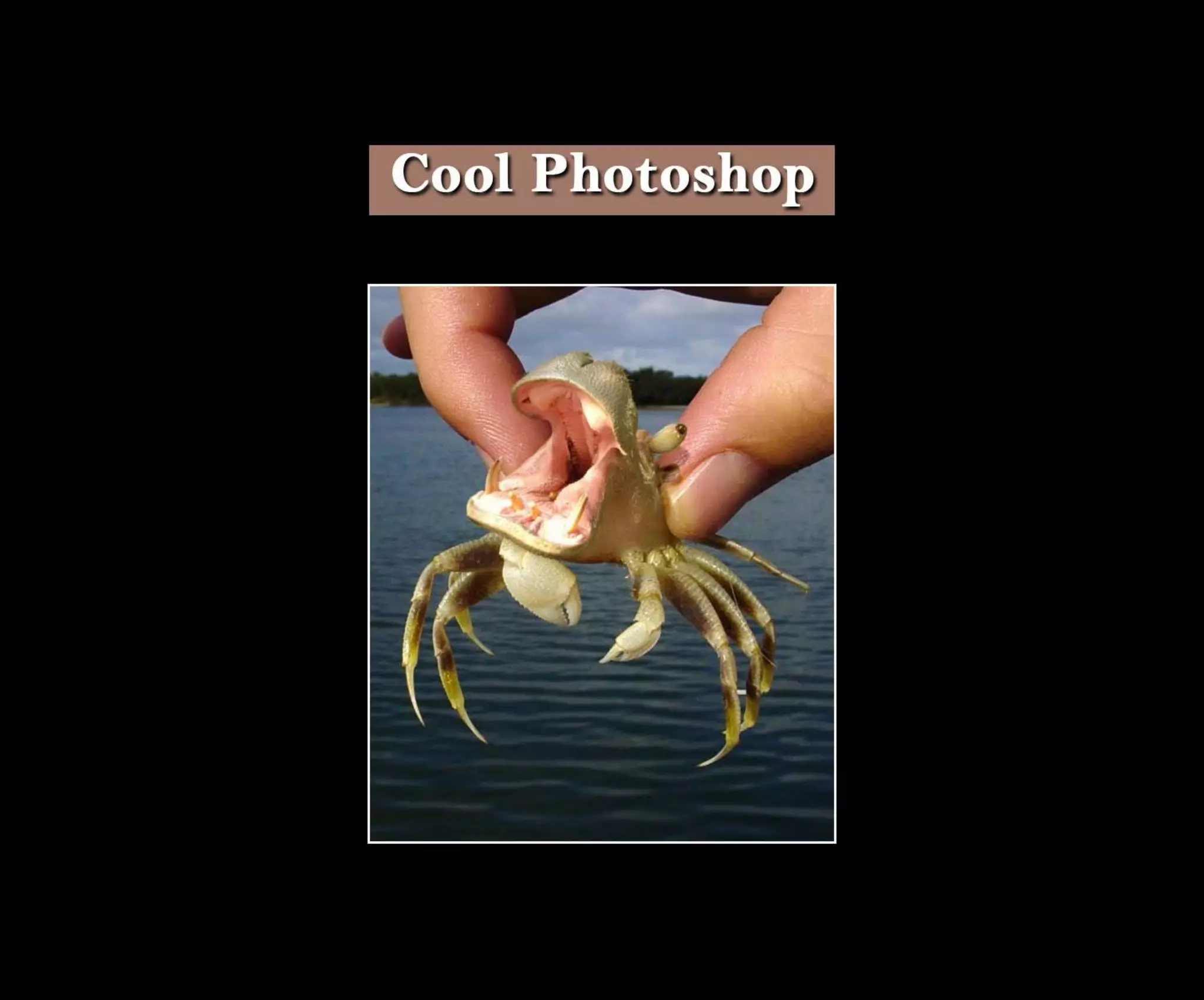 Introduction To Photoshop