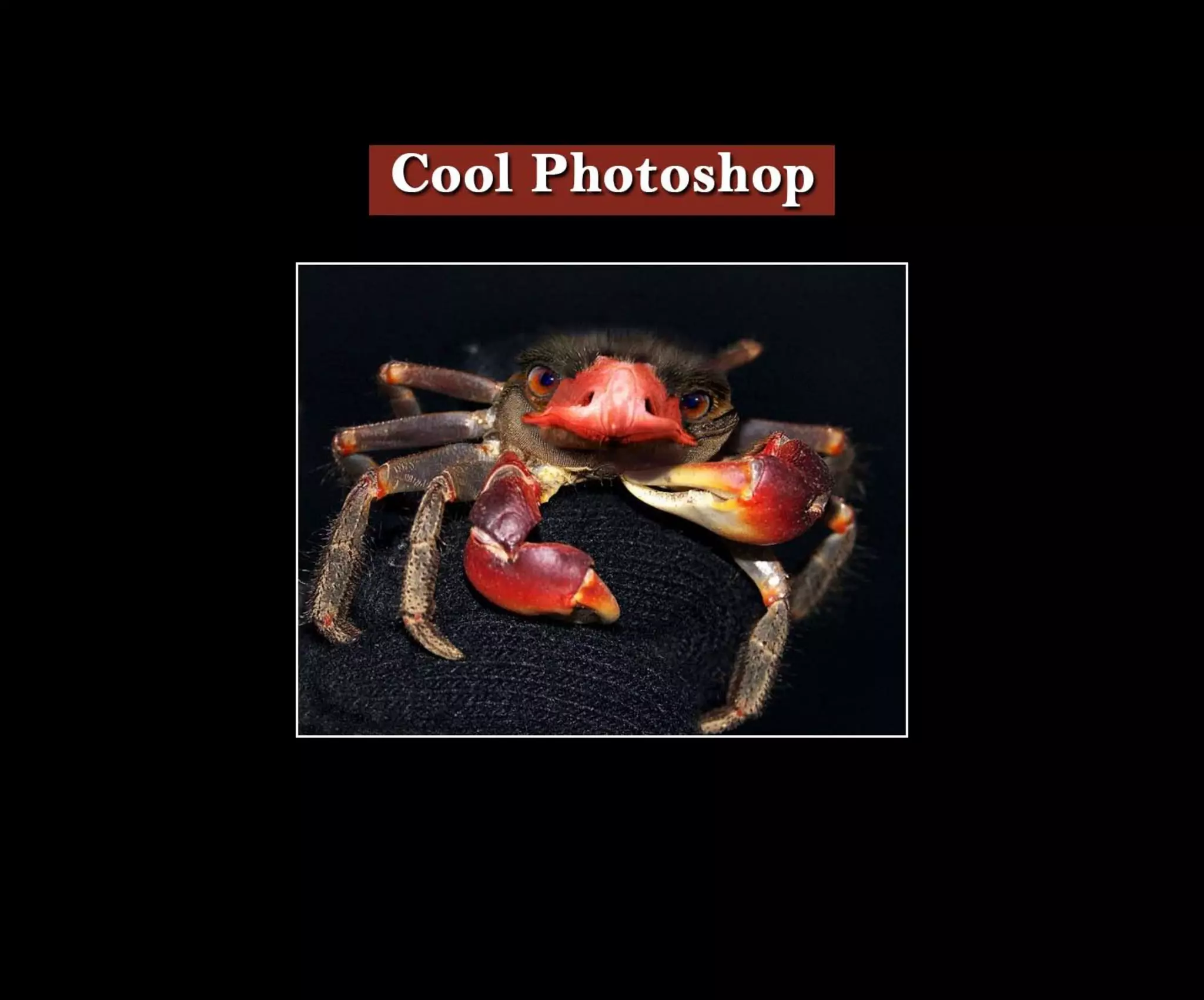 Introduction To Photoshop