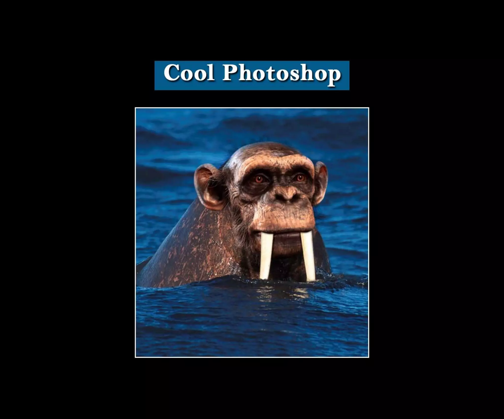 Introduction To Photoshop