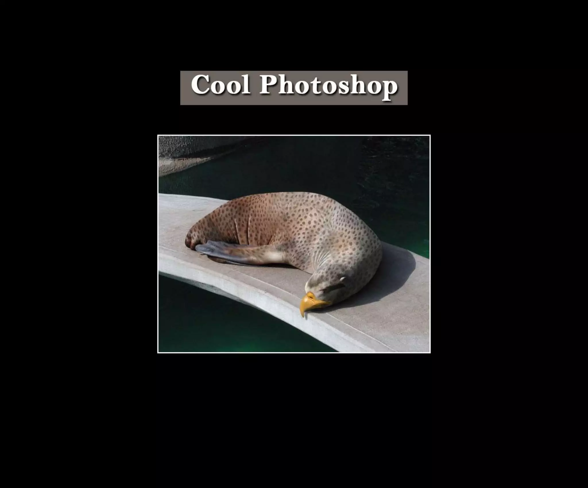 Introduction To Photoshop