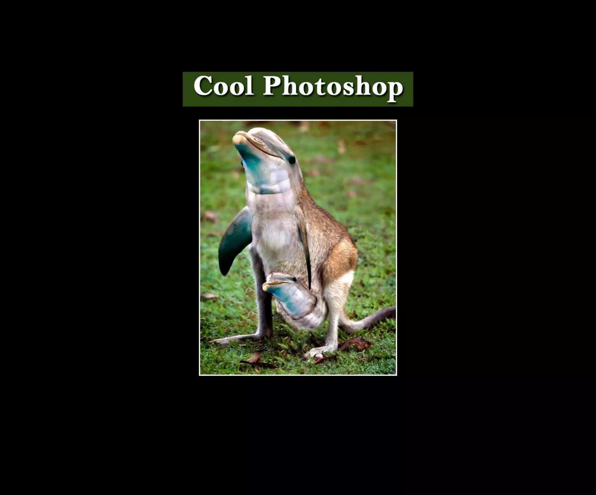 Introduction To Photoshop