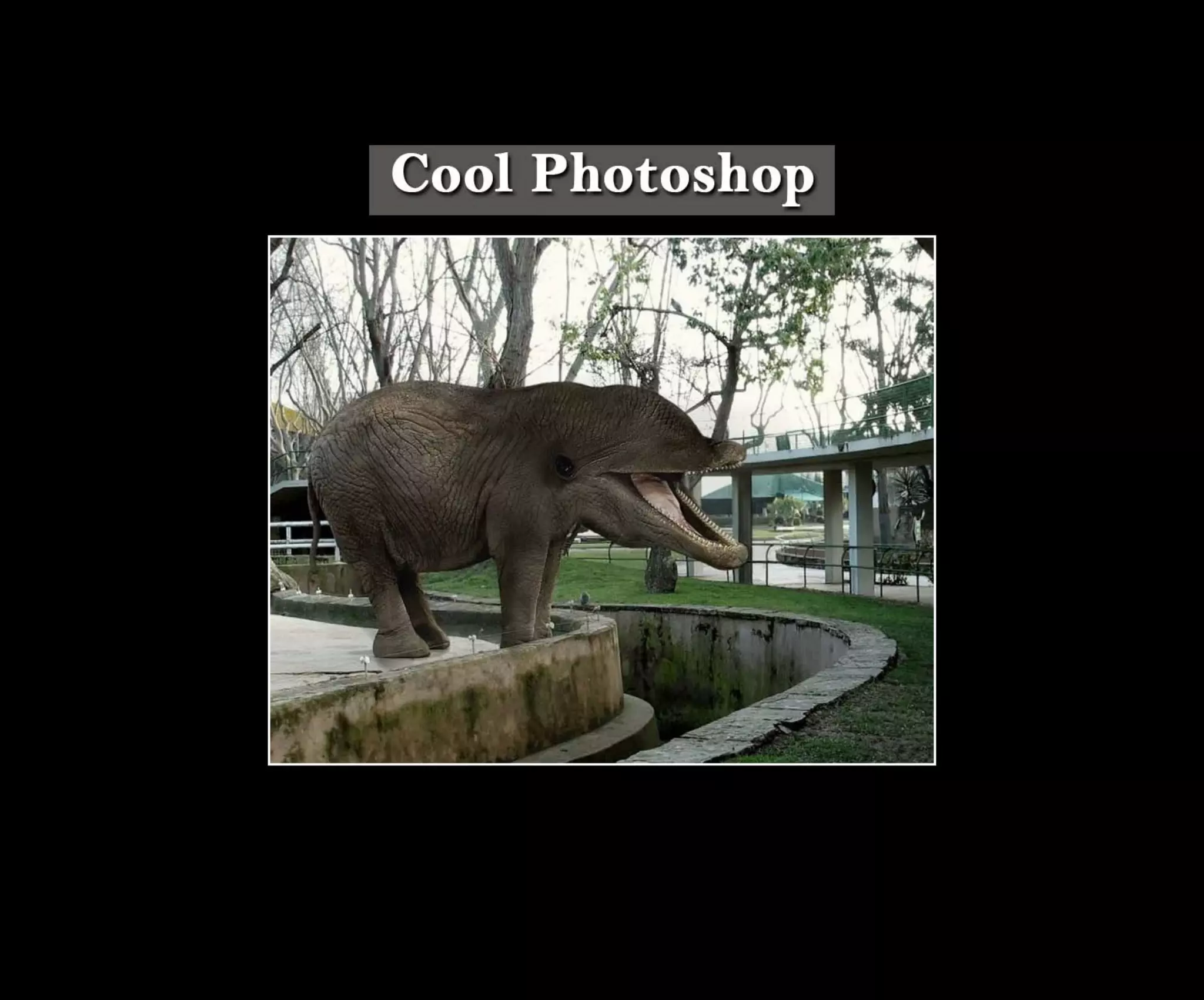Introduction To Photoshop