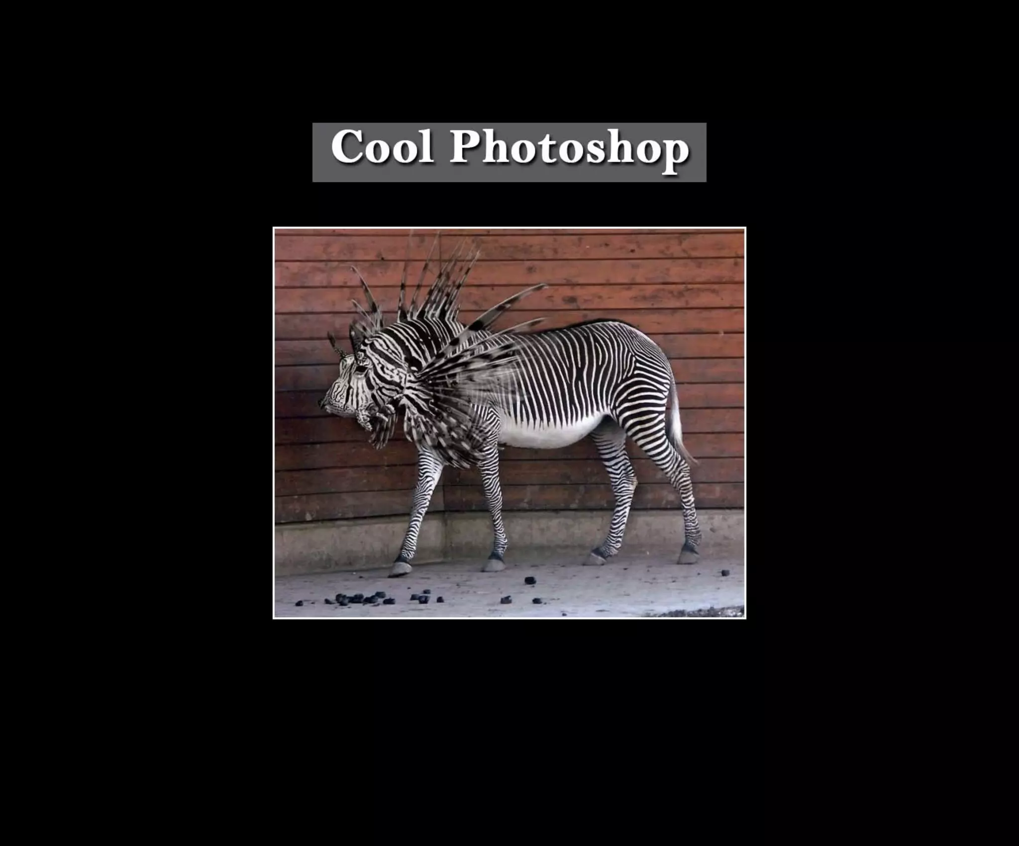 Introduction To Photoshop