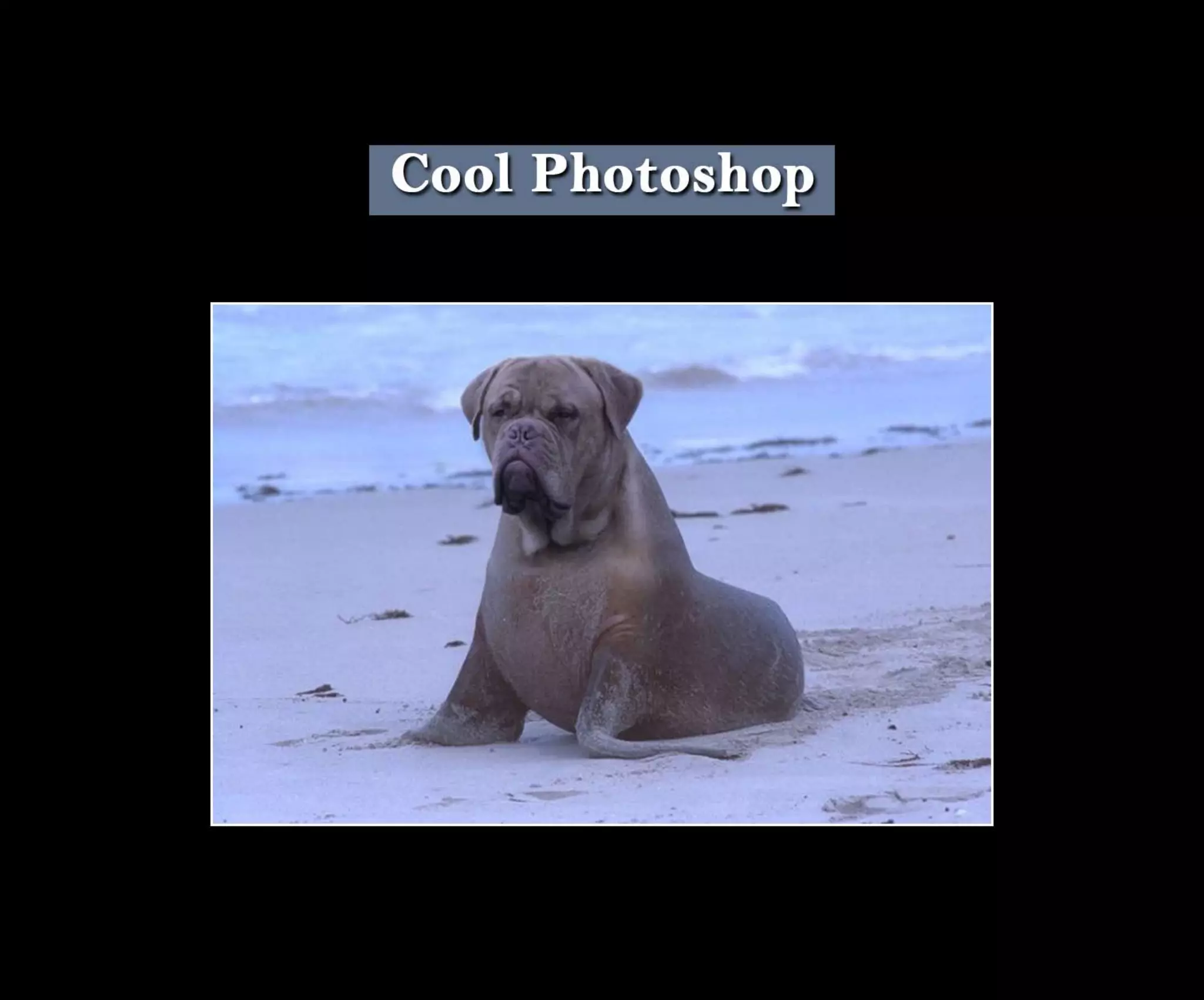 Introduction To Photoshop