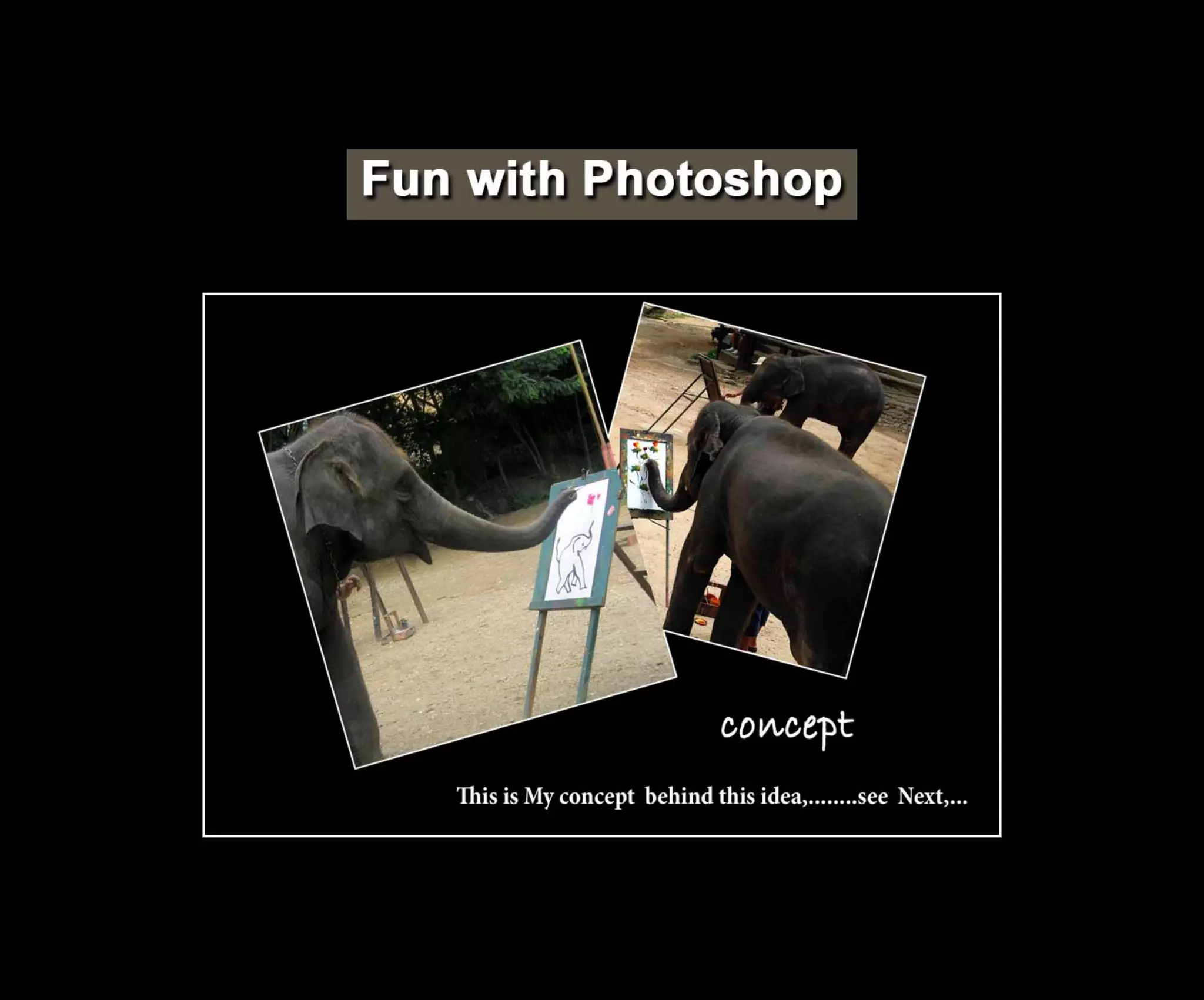 Introduction To Photoshop