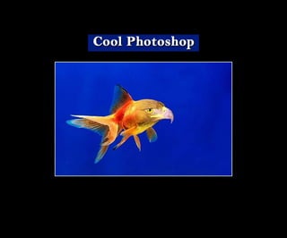Introduction To Photoshop