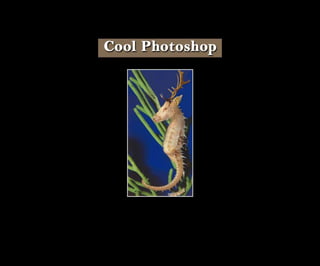 Introduction To Photoshop