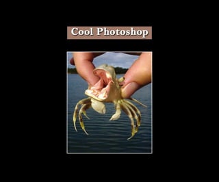 Introduction To Photoshop