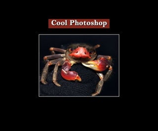Introduction To Photoshop