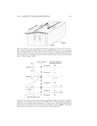12.3. VORTICITY AND EKMAN PUMPING 211
T
ra
d
e
W
in
d
s
W
esterlies
North
East
Ekman Layer
r1
r6
r2
r3
r5
r4
Figure 12.7 Winds at the sea surface drive Ekman transports to the right of the wind in
this northern hemisphere example (bold arrows in shaded Ekman layer). The converging
Ekman transports driven by the trades and westerlies drives a downward geostrophic ﬂow
just below the Ekman layer (bold vertical arrows), leading to downward bowing constant
density surfaces ρi. Geostrophic currents associated with the warm water are shown by bold
arrows. (After Tolmazin, 1985)
Mean Wind Speed (m/s)
-4 0 4
80º
60º
40º
20º
Trades
Westerlies
Easterlies
Convergence
Convergence
Divergence
Convergence
Divergence
H
L
H
L
H
NECC
NEC
Sea Surface Height and
Geostrophic Currents
Ekman Transports
Figure 12.8 An example of how winds produce geostrophic currents running upwind. Ekman
transports due to winds in the north Paciﬁc (Left) lead to Ekman pumping (Center),
which sets up north-south pressure gradients in the upper ocean. The pressure gradients are
balanced by the Coriolis force due to east-west geostrophic currents (Right). Horizontal
lines indicate regions where the curl of the zonal wind stress changes sign.
 