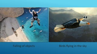 Falling of objects Birds flying in the sky
 