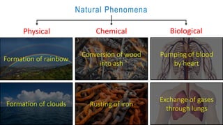 Natural Phenomena
Physical Chemical Biological
Formation of rainbow
Formation of clouds
Conversion of wood
into ash
Rusting of iron
Pumping of blood
by heart
Exchange of gases
through lungs
 