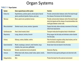 Organ Systems
Table 1.1
 