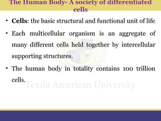 Introduction to medical physiology MBCHB | PPTX