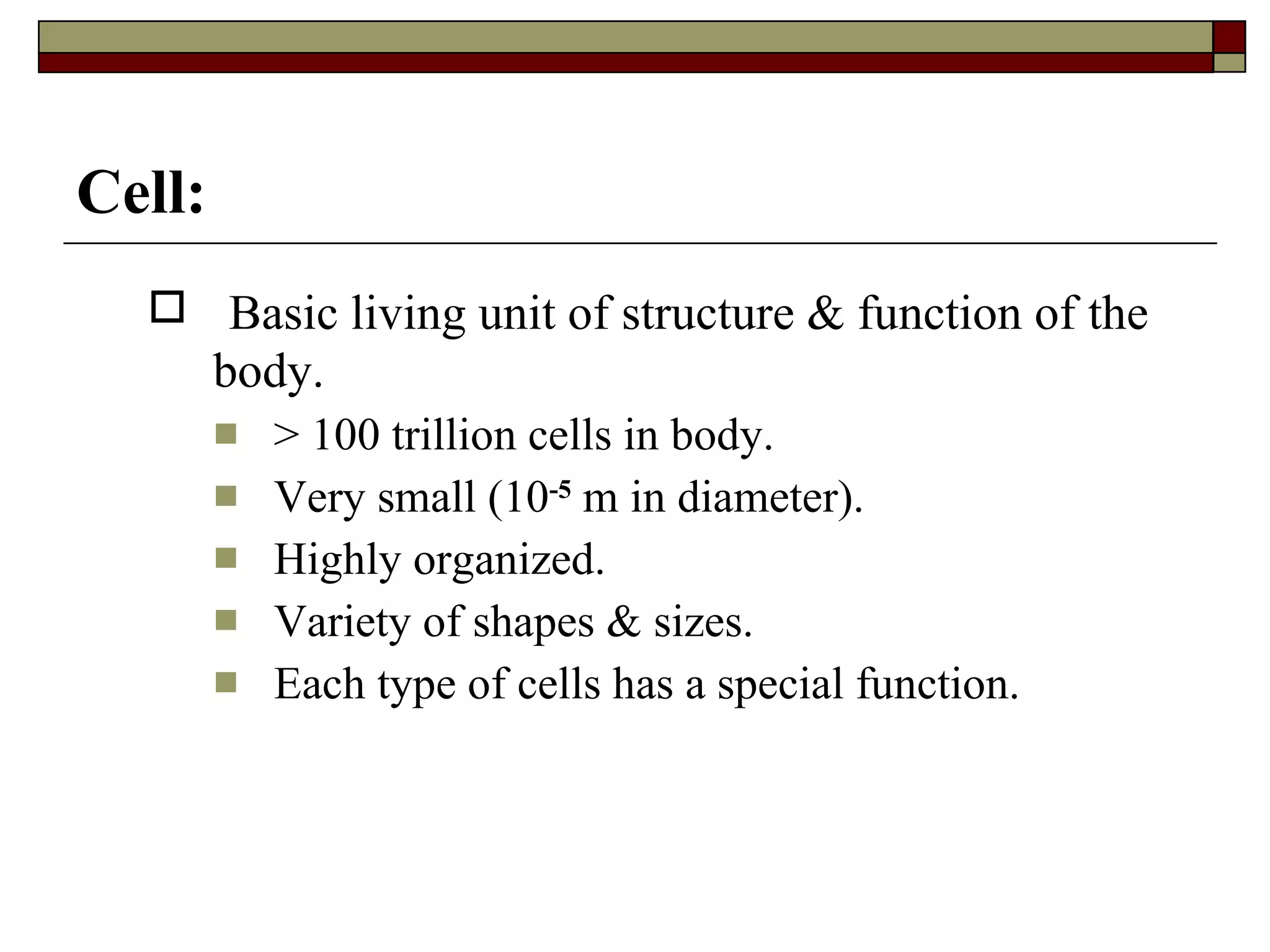 Introduction to physiology lecture  PPT