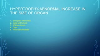 Hypertrophied Raspberry Introduction to phytopathology concepts, components and causes | PPTX
