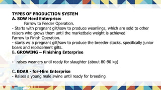 TYPES OF PRODUCTION SYSTEM
A. SOW Herd Enterprise:
Farrow to Feeder Operation.
- Starts with pregnant gilt/sow to produce weanlings, which are sold to other
raisers who grows them until the marketbale weight is achieved
Farrow to Finish Operation.
- starts w/ a pregnant gilt/sow to produce the breeder stocks, specifically junior
boars and replacement gilts.
B. GROWING – Finishing Enterprise
- raises weaners until ready for slaughter (about 80-90 kg)
C. BOAR - for-Hire Enterprise
- Raises a young male swine until ready for breeding
 