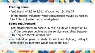 Feeding boars:
- feed boars w/ 2.3 to 3.0 kg of ration w/ 13-14% CP
- In the tropics, voluntary water consumption maybe as high as
4 to 5 liters of water per kg air-dry-feed
Space requirement:
- pen measurement fo boar is .6 m x 2.1 m w/ a heigth of 1.1
m. if the boar pen doubles as the service area, allow between
5 to 7 square meters of floor area.
-use individual pens or stalls to eliminate fighting, riding,&
competition for feed that would wound the boar
 