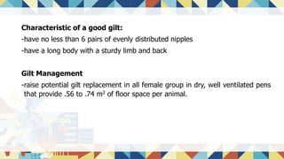 Characteristic of a good gilt:
-have no less than 6 pairs of evenly distributed nipples
-have a long body with a sturdy limb and back
Gilt Management
-raise potential gilt replacement in all female group in dry, well ventilated pens
that provide .56 to .74 m2 of floor space per animal.
 
