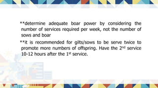 **determine adequate boar power by considering the
number of services required per week, not the number of
sows and boar
**it is recommended for gilts/sows to be serve twice to
promote more numbers of offspring. Have the 2nd service
10-12 hours after the 1st service.
 