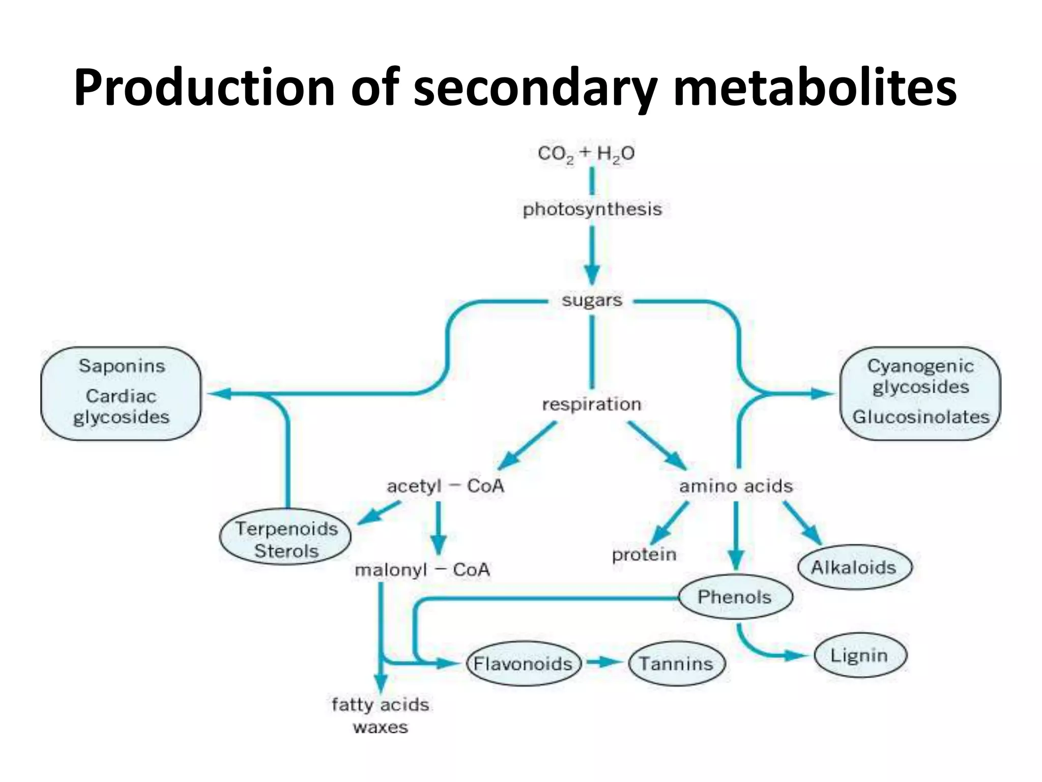 Introduction to plant metabolities | PPTX