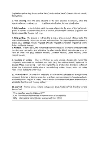 (e-g) Wheat yellow leaf; Potato yellow dwarf; Barley yellow dwarf; Cowpea chlorotic mottle;
Beet yellows.
5. Vein clearing. Here the cells adjacent to the vein becomes translucent, while the
interveinal areas remain green (e-g) Okra vein clearing; Lettuce vein clearing.
6. Vein banding. In the infected plant, the area adjacent to the veins of the leaf remain
green, in contrast to the remaining areas of the leaf, which may be chlorotic (e-g) Chilli vein
banding caused by Tobacco etch virus.
7. Ring-spotting. The disease is restricted to a ring or broken ring of infected cells. The
infected cells may be chlorotic or necrotic and sometimes the rings may occur in concentric
circles. (e-g) Cabbage necrotic ringspot; Chlorotic ringspot and Broken ringspot of celery;
Tobacco chlorotic ringspot;
8. Necrosis. In some cases, the veins may become necrotic and the necrosis may spread to
the stem and root apices and ultimately the plant may be killed. Necrosis may occur on
fruits or seeds also. (e-g) Tobacco necrosis; Cucumber necrosis; Cacao necrosis; Clover
necrotic mosaic.
9. Enations or tumors. Due to infection by some viruses, characteristic tumor-like
outgrowths are formed on the leaves and roots. (e-g) Pea enation mosaic; Sugarcane Fiji
disease; Maize rough dwarf - wart-like outgrowths are produced on the lower surface of
leaves due to abnormal proliferation of the underlying phloem tissues; tumors on clover
roots caused by Wound tumor virus.
10. Leaf distortion. In some virus infections, the leaf lamina is affected and it may become
irregularly distorted or become strap-like. (e-g) Bean common mosaic in Phaseolus vulgaris;
Strawberry latent ringspot in celery; Tobacco mosaic virus in tomatoes; Bean leaf roll virus in
Vicia faba; Beet leaf curl; Tobacco leaf curl
11. Leaf roll. The leaf lamina roll and curl upwards (e-g) Potato leaf roll, Bean leaf roll and
Pea leaf roll.
Virus classified based in ICNV and ICTV
ICNV – international committee on nomenclature of virus (1966)
ICTV – international committee on taxonomy of virus (1973)
 