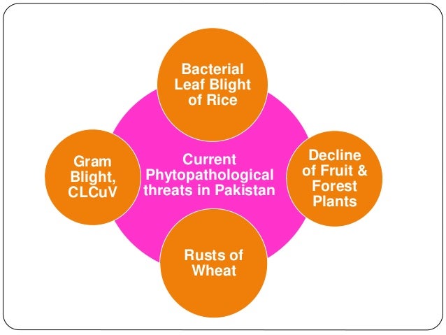 Introduction to plant_pathology