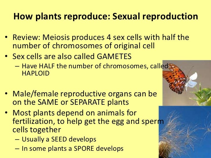 Introduction to plant reproduction