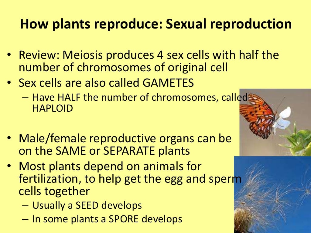 Introduction to plant reproduction